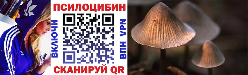 купить наркоту  Пыть-Ях  гидра сайт  Галлюциногенные грибы Psilocybine cubensis 
